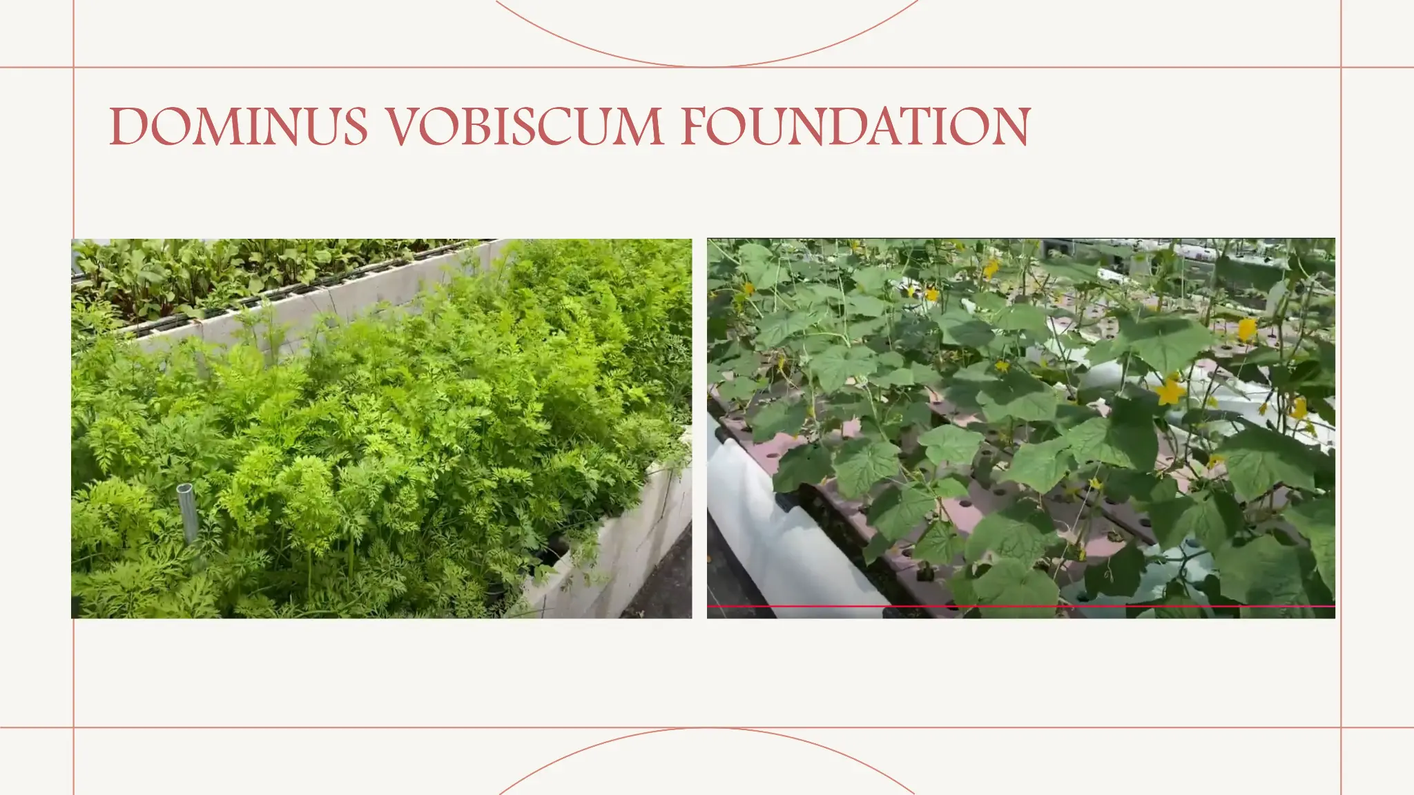 Presentation Page 15